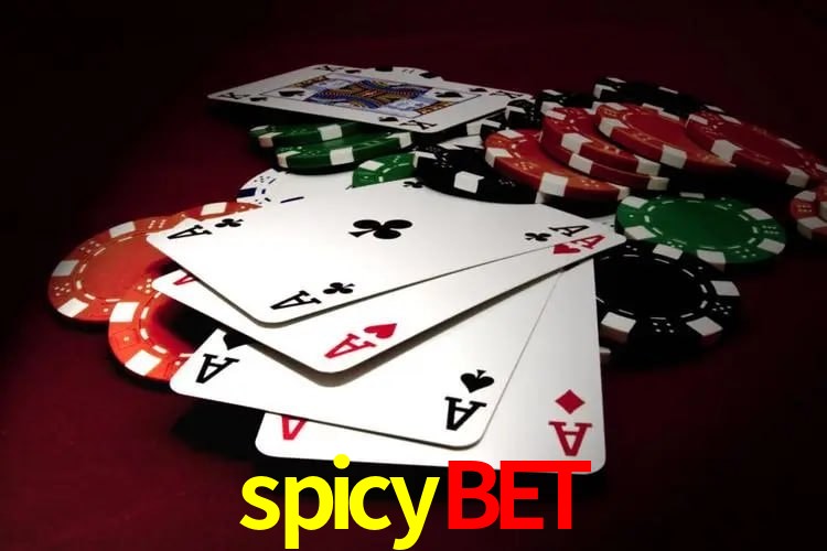 Casino VIP spicybet